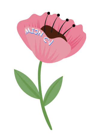 Naar mijn CV pagina